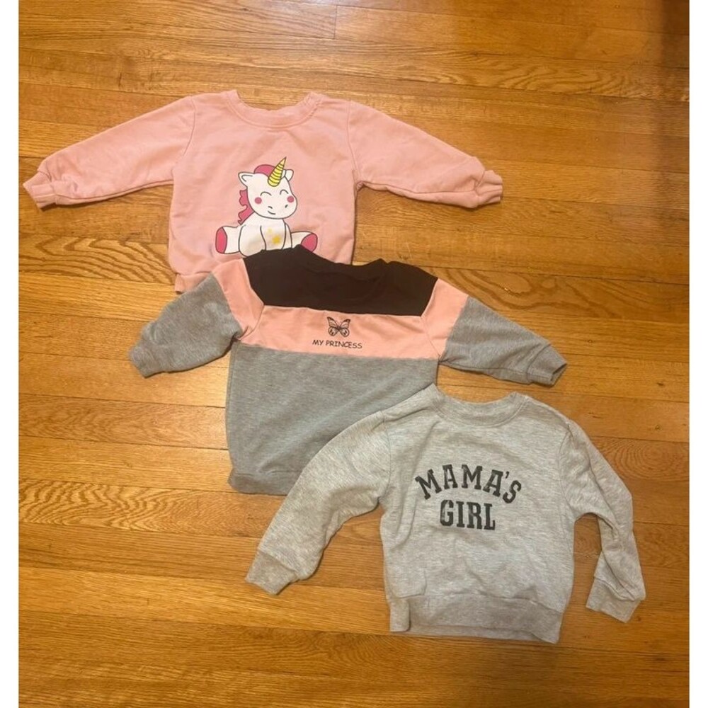 Toddler Girls 2t Sweatshirt Bundle Lot of 3